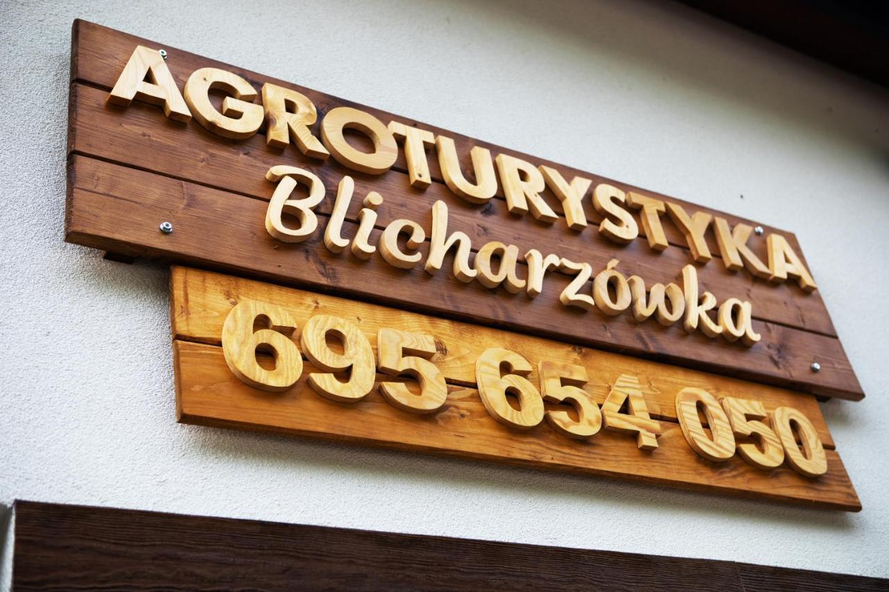 Agroturystyka Blicharzowka Noclegi Bukowka Dış mekan fotoğraf